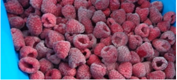Red Raspberry - Bioprodu C